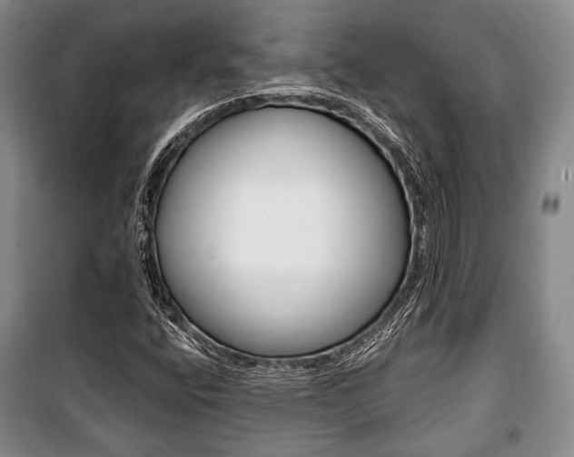 X0000101141400200806270725