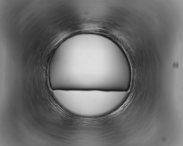 X0000101141401200806270725
