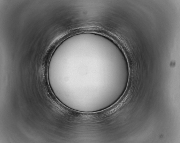 X0000101141402200806270725