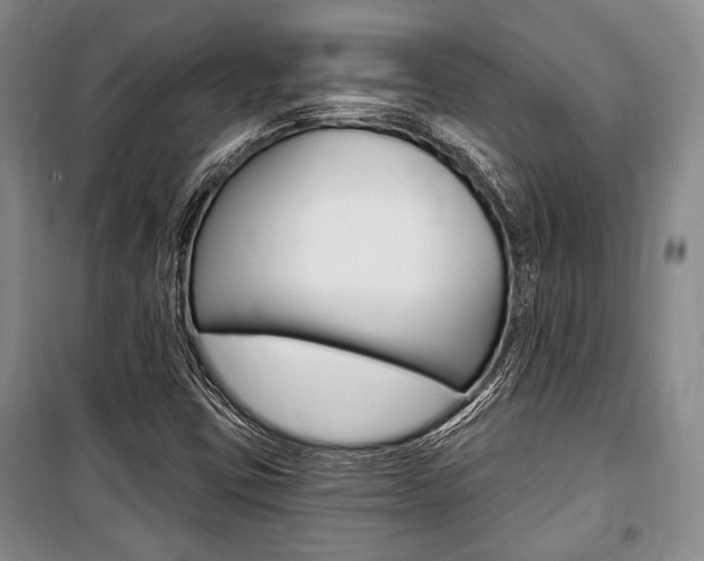 X0000101141403200806270725