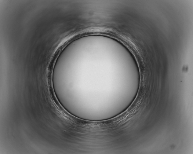 X0000101141404200806270725