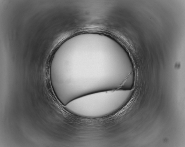 X0000101141405200806270725