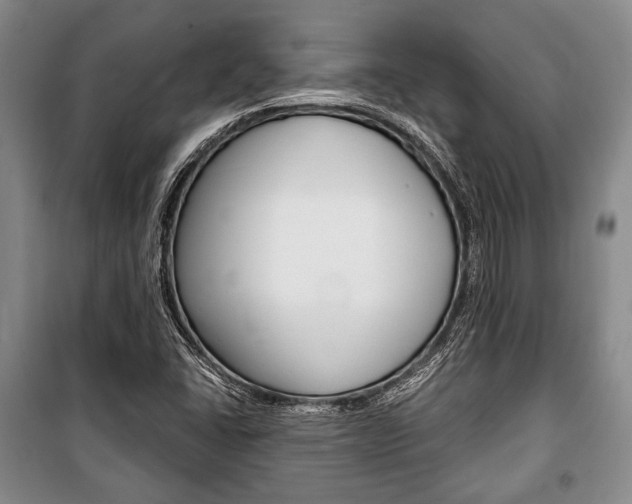 X0000101141406200806270725