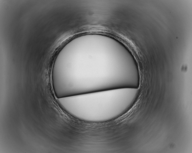 X0000101141407200806270726
