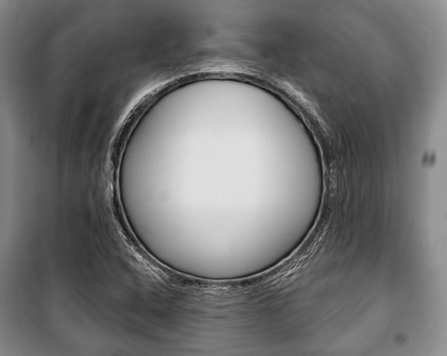 X0000101141408200806270726