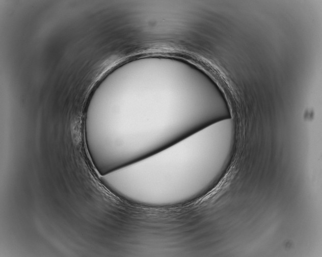 X0000101141409200806270726