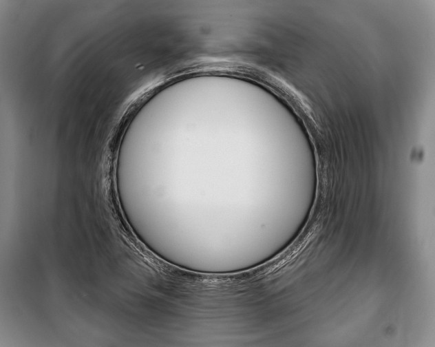 X0000101141411200806270726