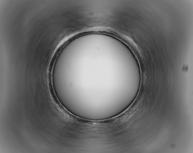 X0000101141412200806270726