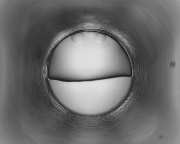 X0000101141413200806270726