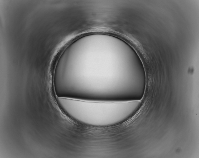 X0000101141414200806270726
