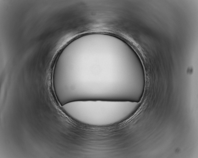 X0000101141415200806270726