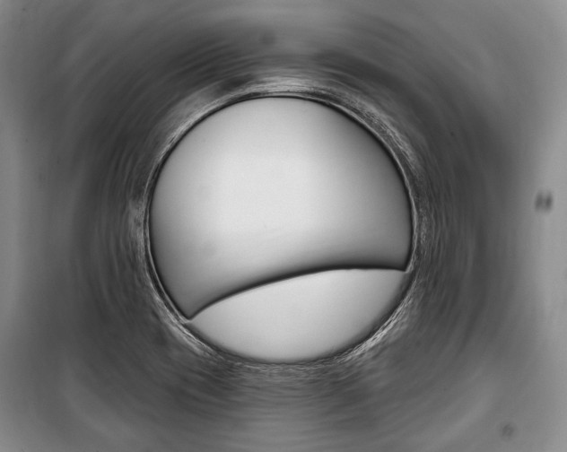 X0000101141417200806270726