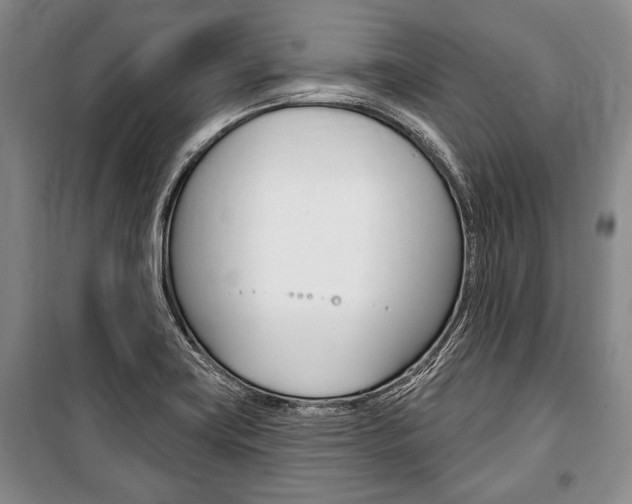 X0000101141419200806270726