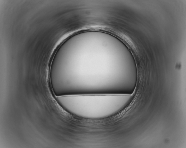 X0000101141420200806270726