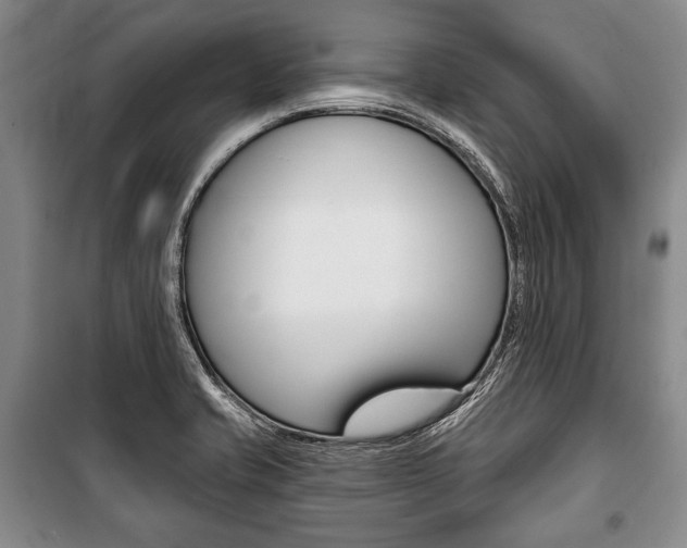 X0000101141421200806270726