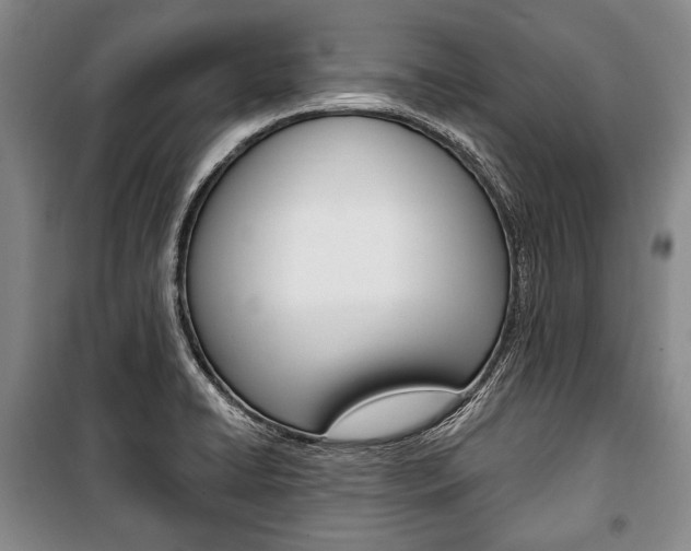 X0000101141422200806270726