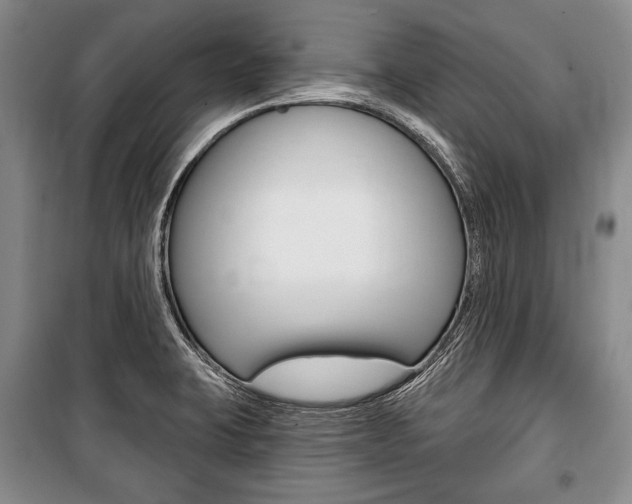 X0000101141423200806270726