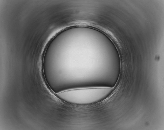 X0000101141424200806270726