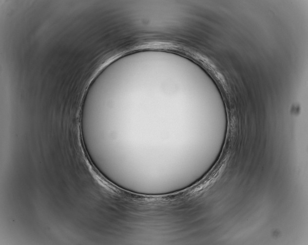 X0000101141425200806270726