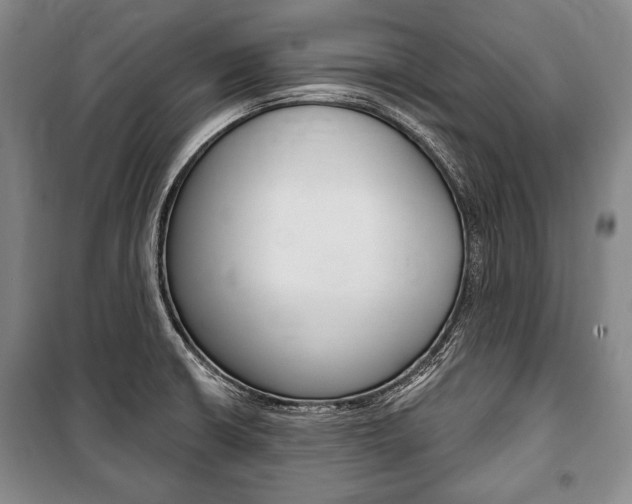 X0000101141426200806270726