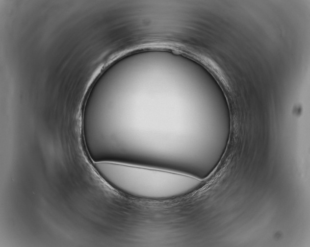 X0000101141428200806270726