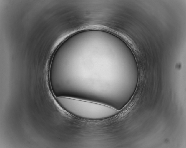 X0000101141430200806270726