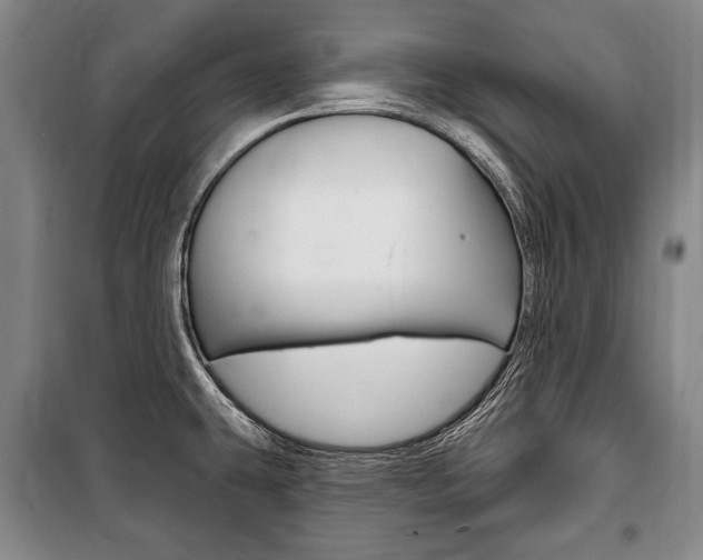 X0000101141431200806270726