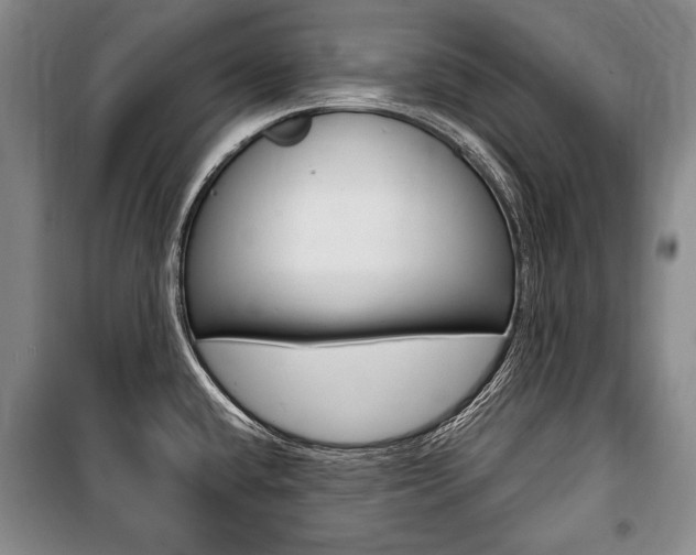 X0000101141432200806270726