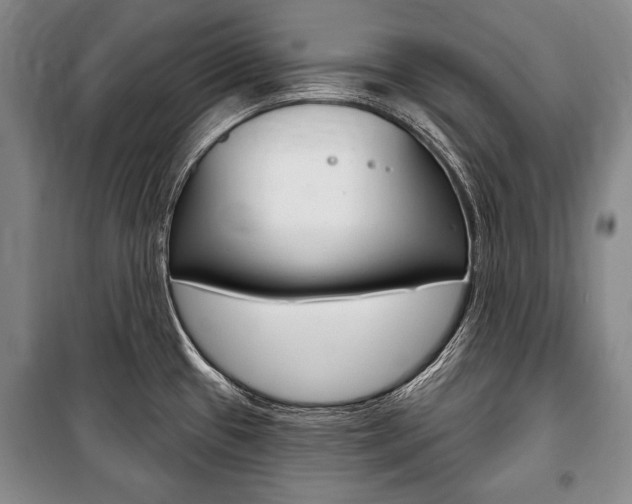 X0000101141433200806270726