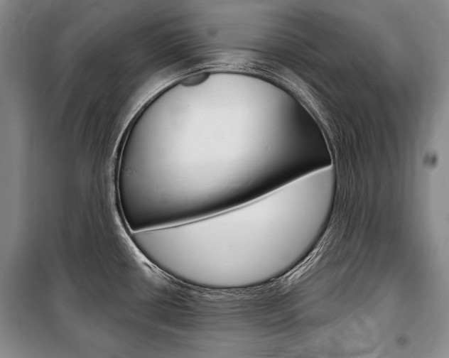X0000101141434200806270726