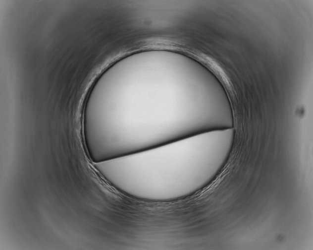 X0000101141435200806270726