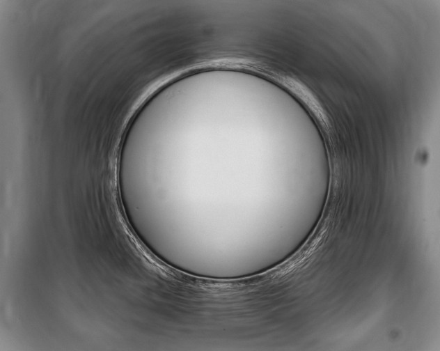 X0000101141436200806270726