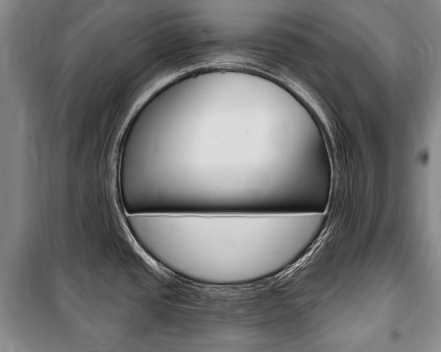 X0000101141437200806270726