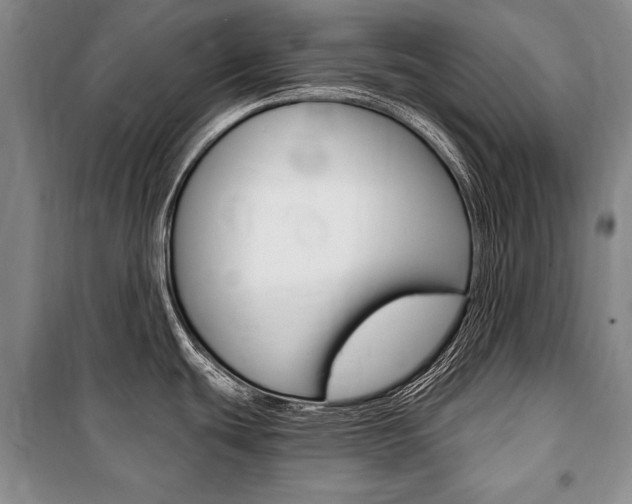 X0000101141439200806270726