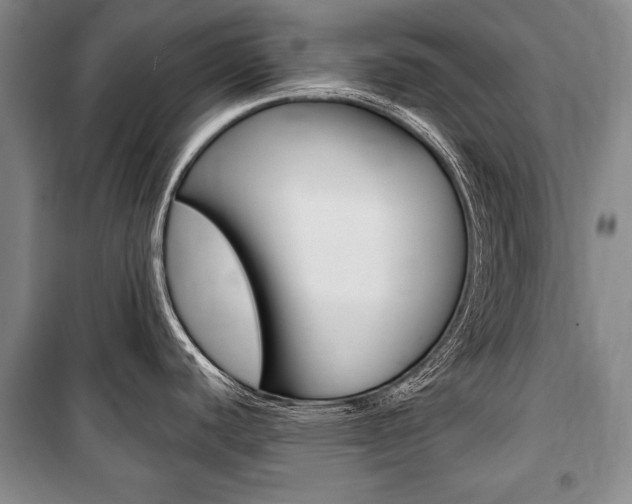 X0000101141440200806270726