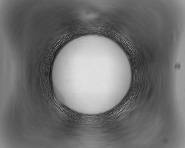 X0000101141441200806270725