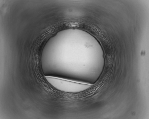 X0000101141442200806270725