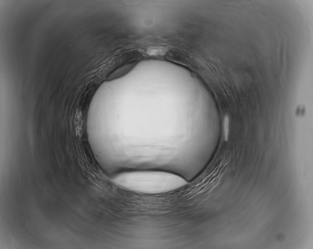X0000101141443200806270725