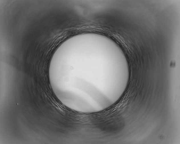 X0000101141444200806270725
