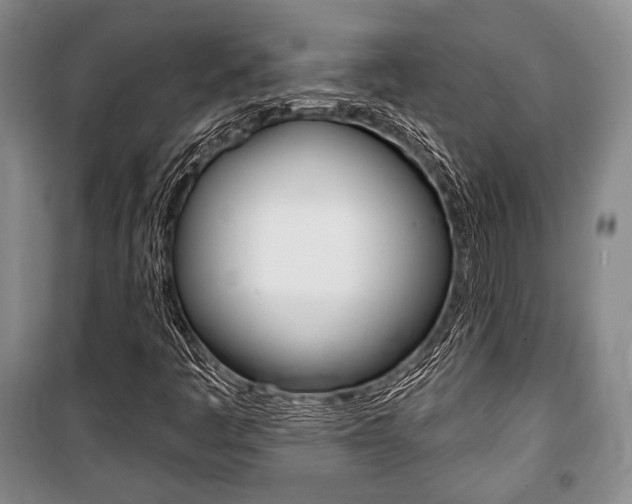 X0000101141445200806270725