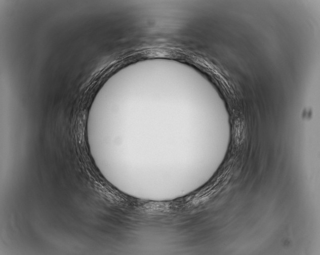 X0000101141446200806270725