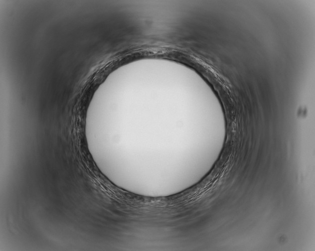 X0000101141447200806270725