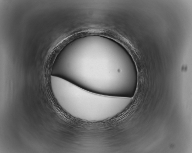 X0000101141448200806270725