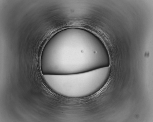 X0000101141449200806270725