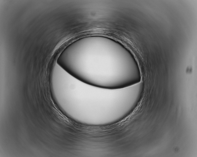 X0000101141450200806270725