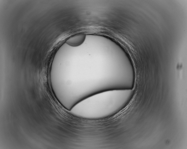 X0000101141451200806270725