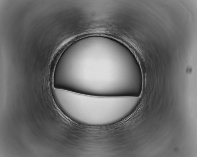 X0000101141452200806270725