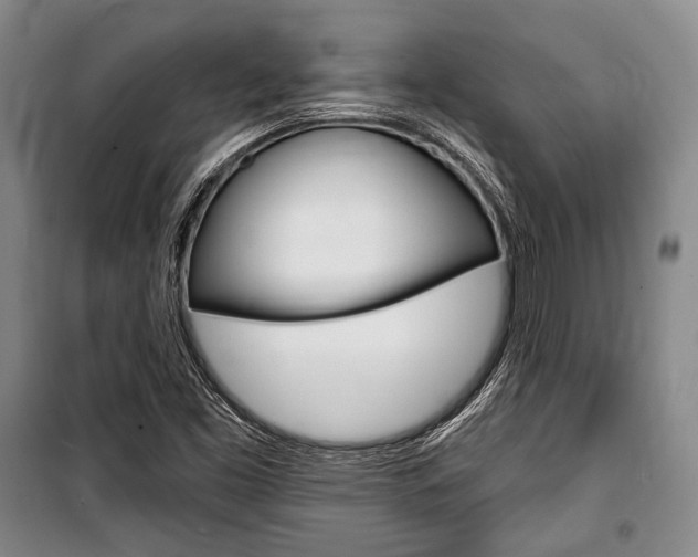 X0000101141453200806270725