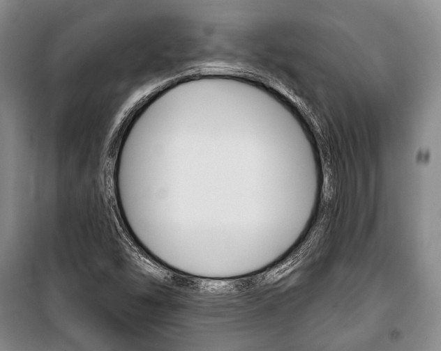 X0000101141454200806270725