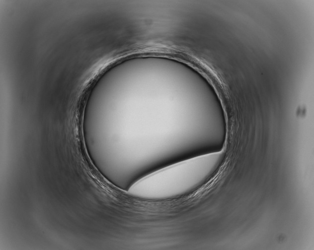 X0000101141455200806270725